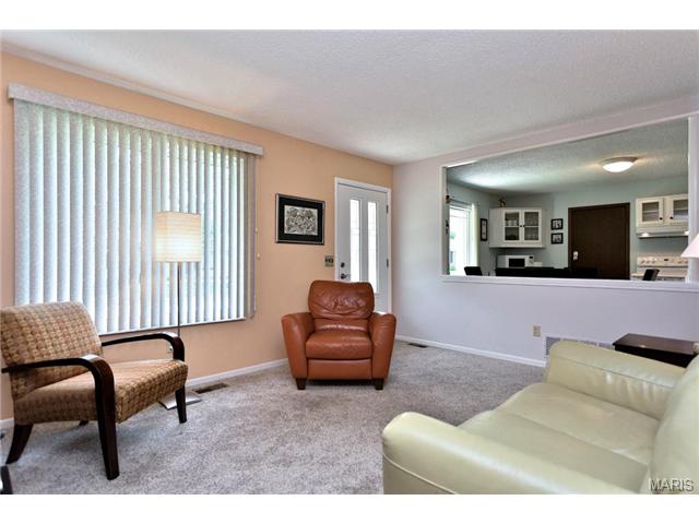 56 White Doe Ct, Eureka, MO 63025 photo 5