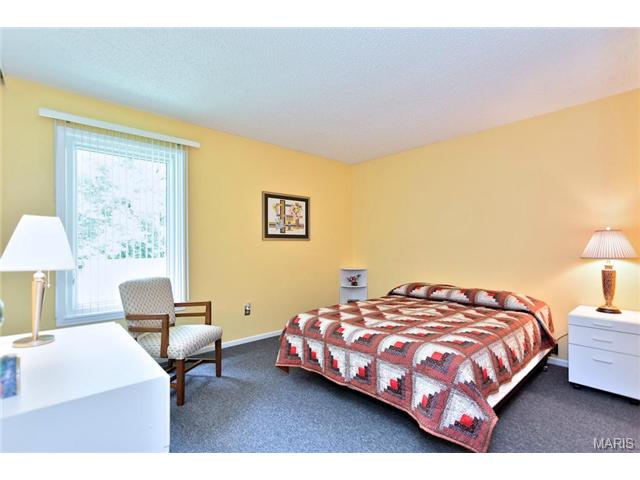 56 White Doe Ct, Eureka, MO 63025 photo 14