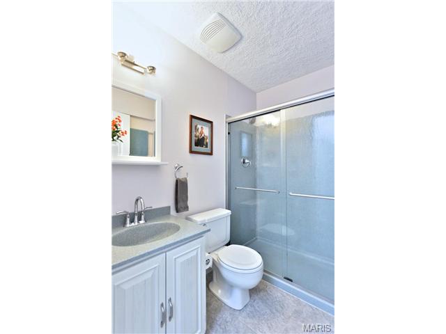 56 White Doe Ct, Eureka, MO 63025 photo 17