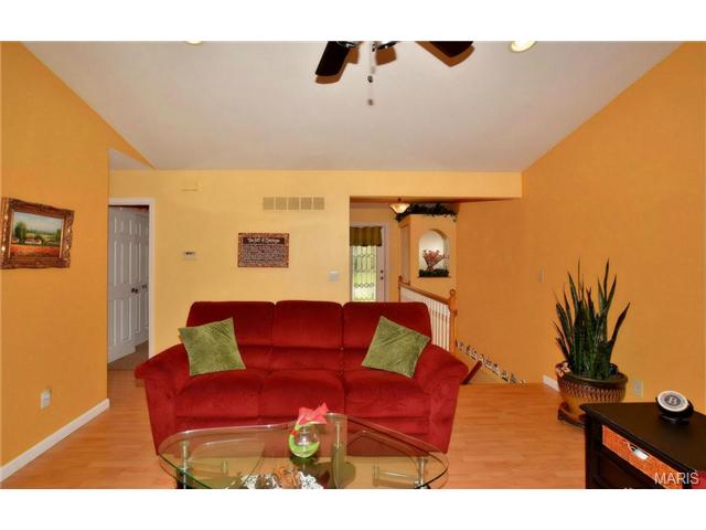 313 Birmingham, O'fallon, MO 63366 photo 4