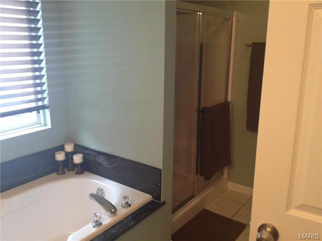 8 Wistar Way, O'fallon, MO 63366 photo 21