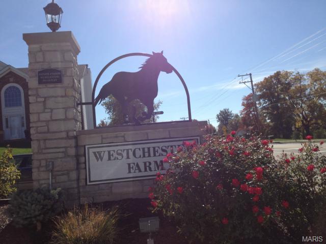 5739 Westchester Meadow Dr, Weldon Spring, MO 63304 photo 41