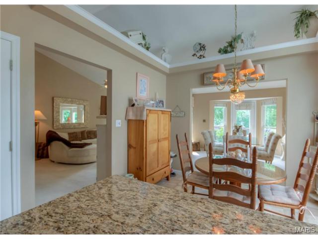 1230 Oak Borough Dr, Ballwin, MO 63021 photo 9