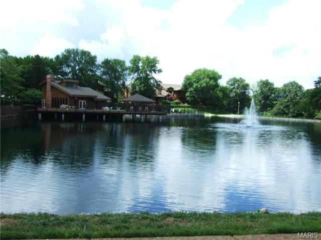 1205 Hemingway Ln, Weldon Spring, MO 63304 photo 23
