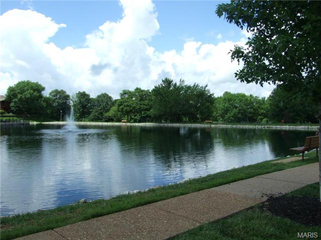 1205 Hemingway Ln, Weldon Spring, MO 63304 photo 25