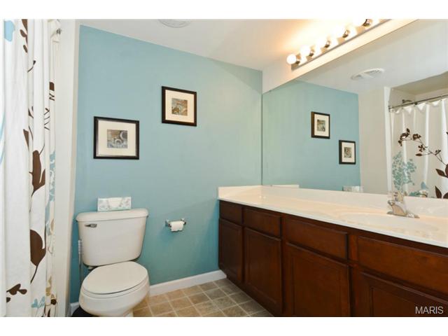 6101 Spring River Dr, O'fallon, MO 63368 photo 19