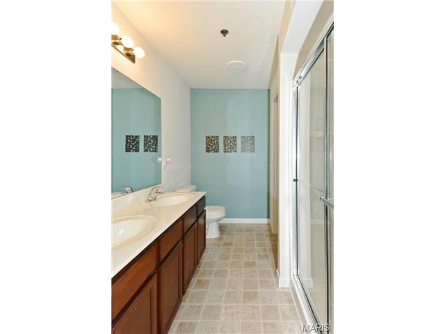 6101 Spring River Dr, O'fallon, MO 63368 photo 14