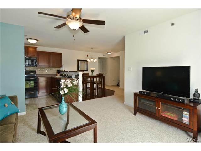 6101 Spring River Dr, O'fallon, MO 63368 photo 5