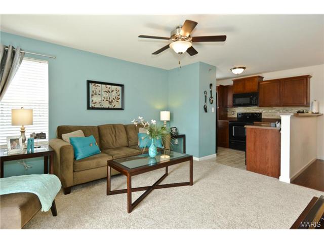 6101 Spring River Dr, O'fallon, MO 63368 photo 1