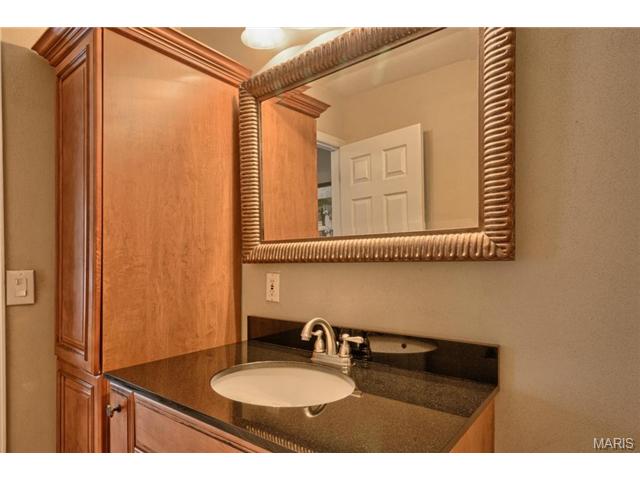 541 Rustic Valley Dr, Ballwin, MO 63021 photo 16