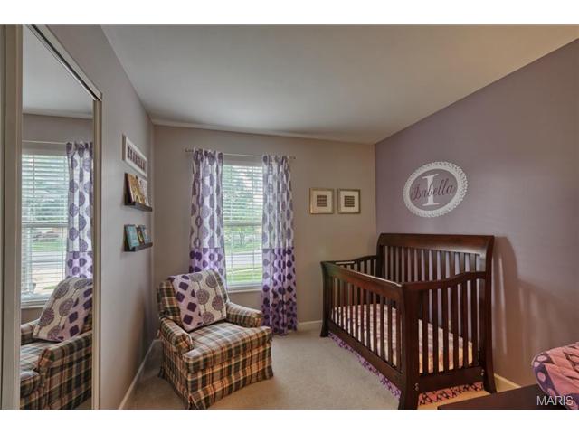 541 Rustic Valley Dr, Ballwin, MO 63021 photo 18