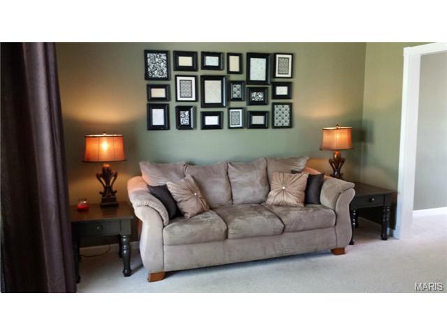 231 Royallmanor Ln, O'fallon, MO 63368 photo 13