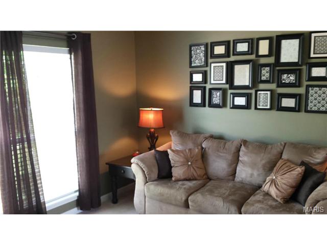 231 Royallmanor Ln, O'fallon, MO 63368 photo 14