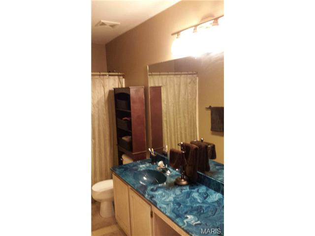 231 Royallmanor Ln, O'fallon, MO 63368 photo 31