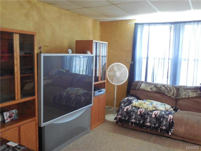 138 Etta Ave, Saint Louis, MO 63125 photo 4