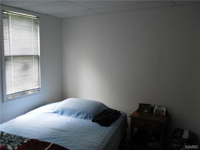 138 Etta Ave, Saint Louis, MO 63125 photo 5