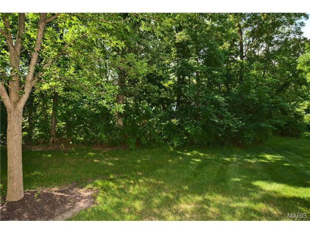 1122 Villa Flora Dr, O'fallon, MO 63366 photo 20