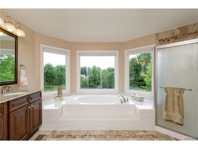 352 Pine Bend Dr, Chesterfield, MO 63005 photo 26