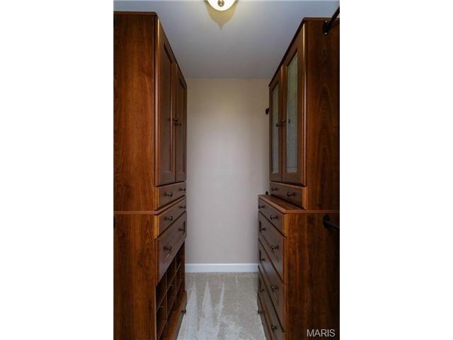 352 Pine Bend Dr, Chesterfield, MO 63005 photo 28