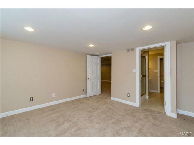352 Pine Bend Dr, Chesterfield, MO 63005 photo 44