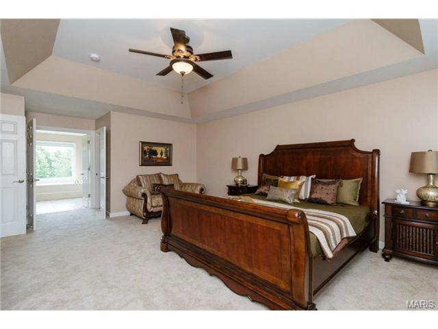 352 Pine Bend Dr, Chesterfield, MO 63005 photo 23
