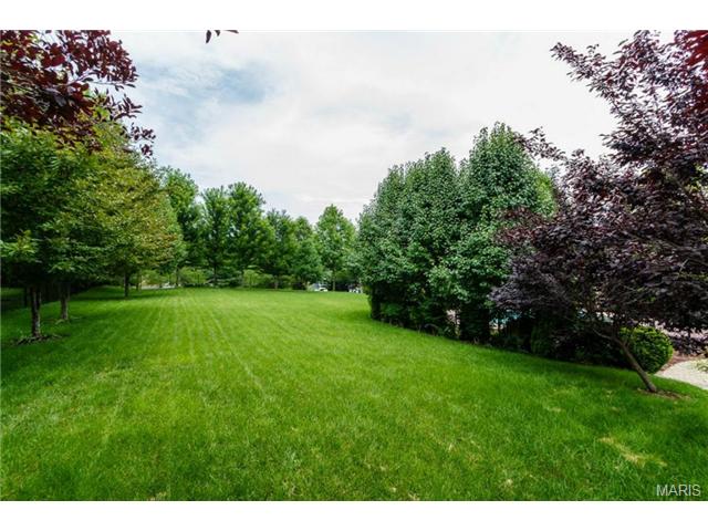 352 Pine Bend Dr, Chesterfield, MO 63005 photo 51