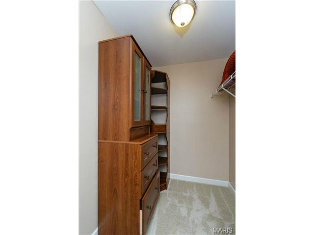 352 Pine Bend Dr, Chesterfield, MO 63005 photo 27