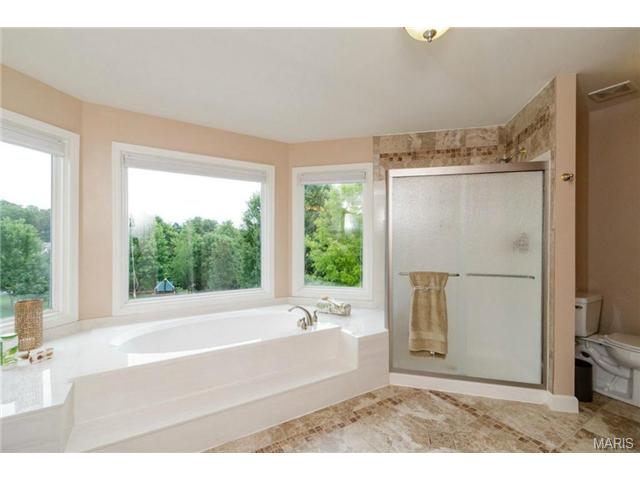 352 Pine Bend Dr, Chesterfield, MO 63005 photo 25