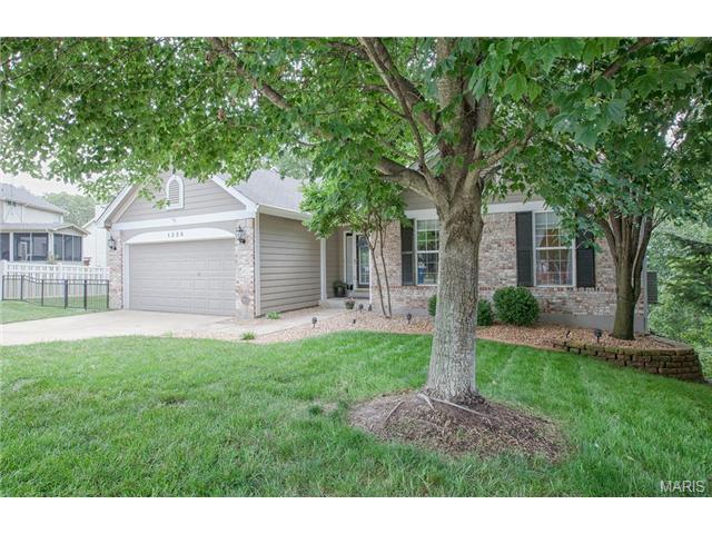 1258 Richland Mdws, Ballwin, MO 63021 photo 54