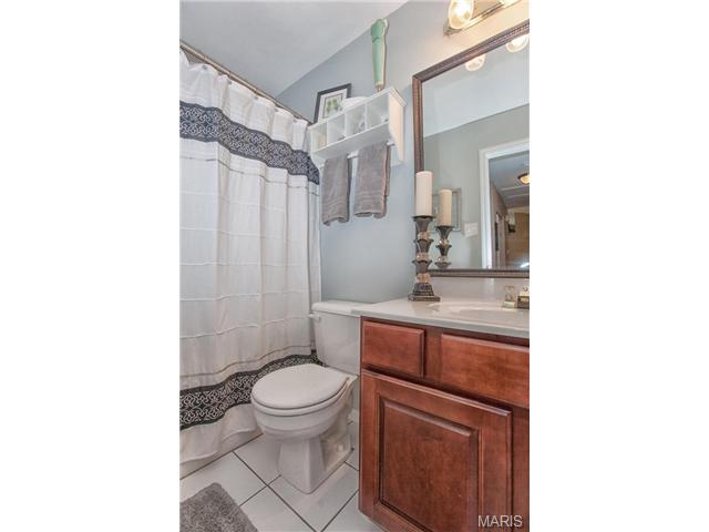 1258 Richland Mdws, Ballwin, MO 63021 photo 19