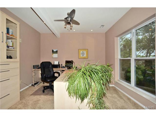 938 Timber Glen Ln, Ballwin, MO 63021 photo 21