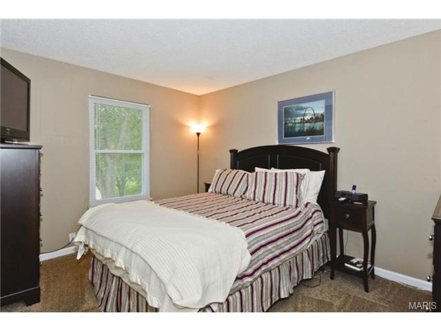70 White Doe, Eureka, MO 63025 photo 6