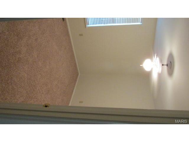 2901 White Stable Dr, O'fallon, MO 63368 photo 21