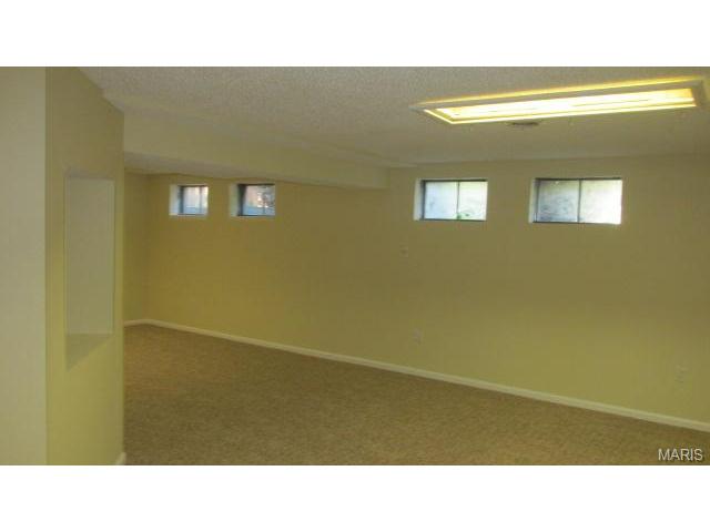 2901 White Stable Dr, O'fallon, MO 63368 photo 24