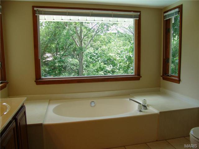 16622 Evergreen Frst, Ballwin, MO 63011 photo 22