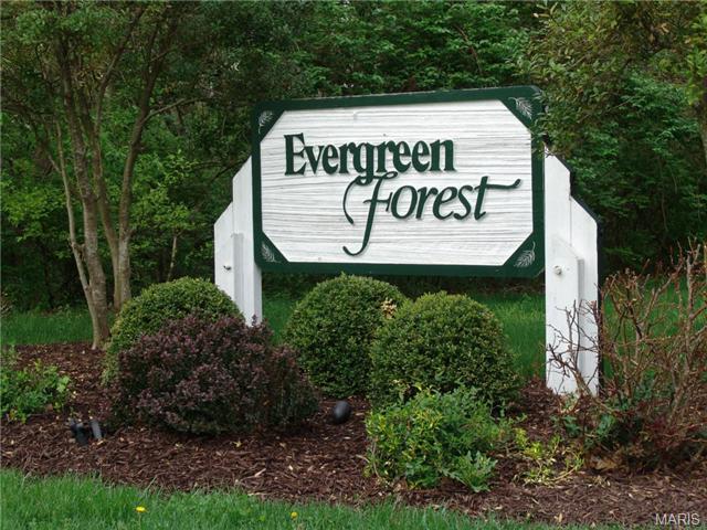 16622 Evergreen Frst, Ballwin, MO 63011 photo 41