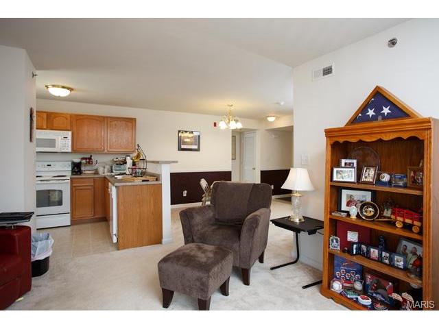 4202 Spring Creek Ln, O'fallon, MO 63368 photo 6