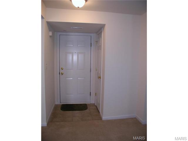 8201 Spring Creek Ln, O'fallon, MO 63368 photo 4
