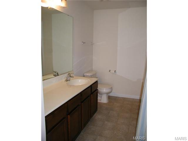 8201 Spring Creek Ln, O'fallon, MO 63368 photo 11