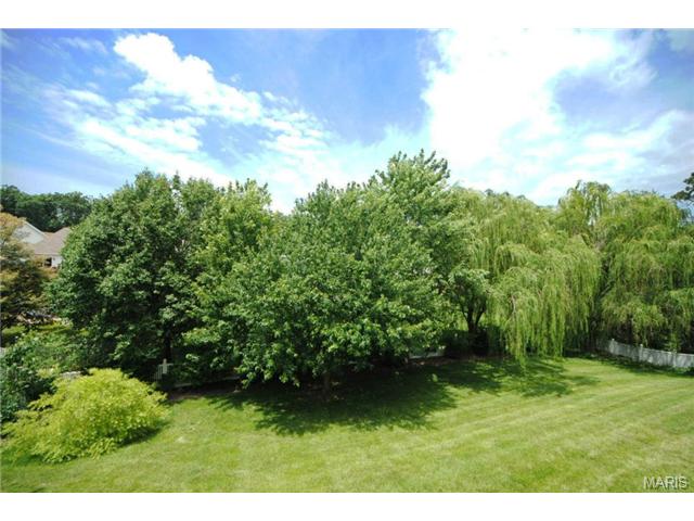 5 Winter Forest Ct, O'fallon, MO 63366 photo 28