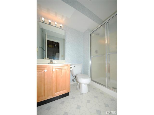 5 Winter Forest Ct, O'fallon, MO 63366 photo 25