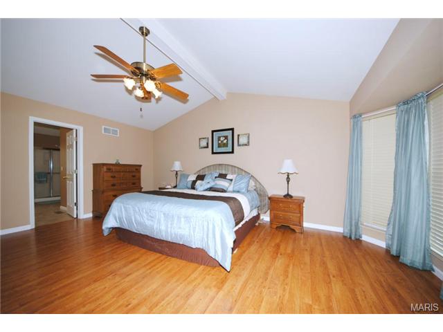5 Winter Forest Ct, O'fallon, MO 63366 photo 5