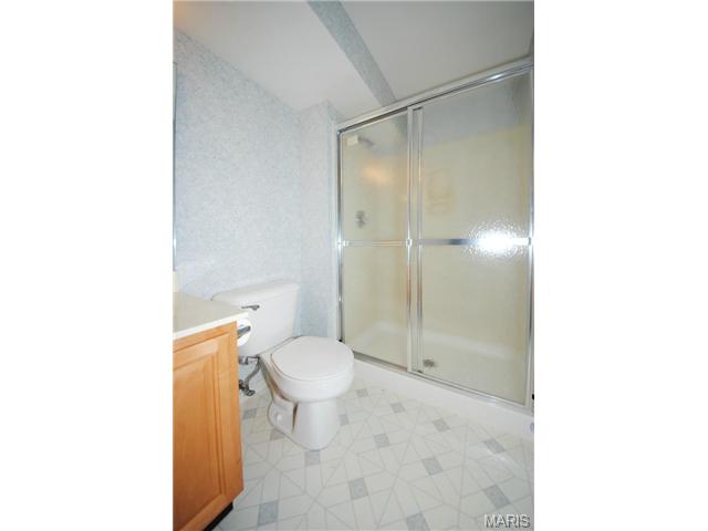5 Winter Forest Ct, O'fallon, MO 63366 photo 26