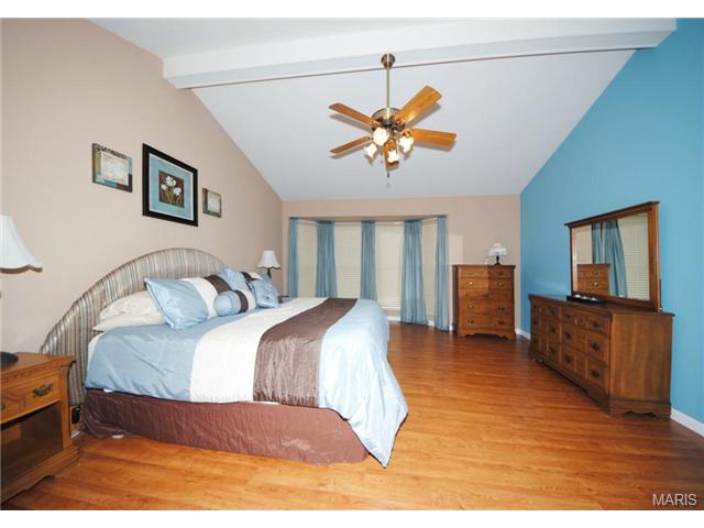 5 Winter Forest Ct, O'fallon, MO 63366 photo 13