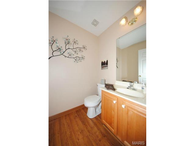 5 Winter Forest Ct, O'fallon, MO 63366 photo 21
