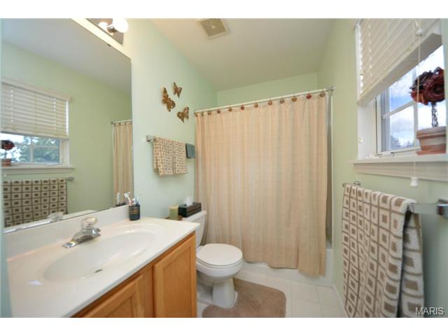 313 Tyndale Dr, O'fallon, MO 63366 photo 13