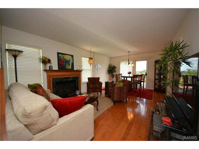 313 Tyndale Dr, O'fallon, MO 63366 photo 2