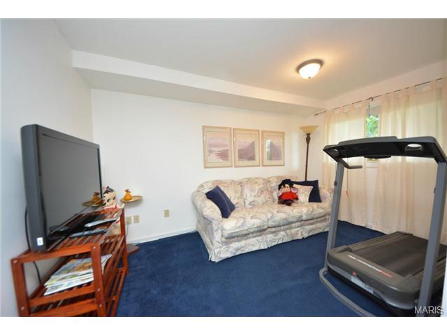 313 Tyndale Dr, O'fallon, MO 63366 photo 15