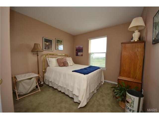 313 Tyndale Dr, O'fallon, MO 63366 photo 12
