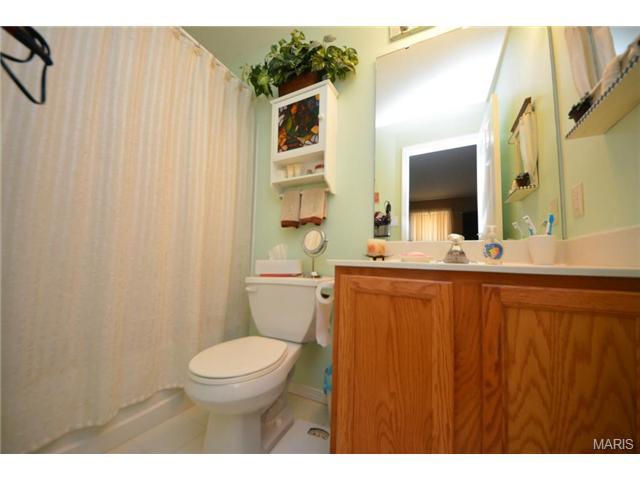 313 Tyndale Dr, O'fallon, MO 63366 photo 11